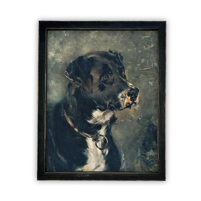 Vintage Framed Canvas Art  // Framed Vintage Print // Vintage Painting // Black and White Dog Art// Farmhouse print //#A-110