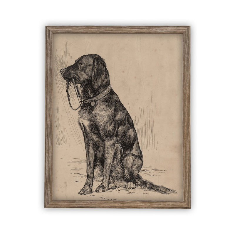 Vintage Framed Canvas Art  // Framed Vintage Print // Black Labrador Painting // Vintage Dog Art// Boys Room or Nursery print //#A-116