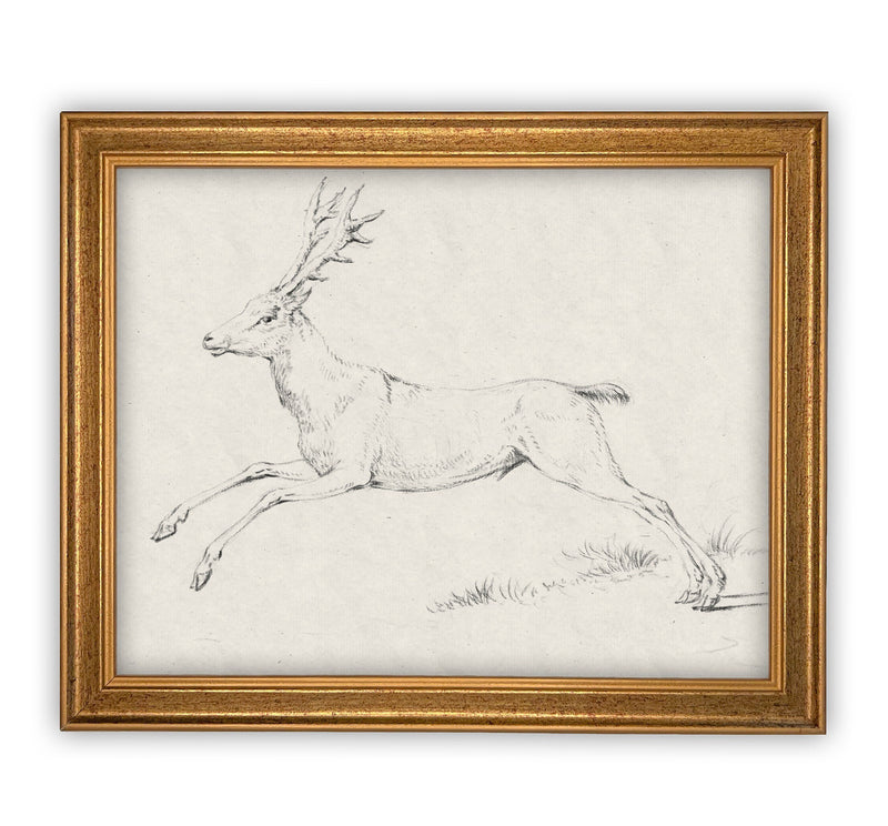 Vintage Framed Canvas Art #CH-311