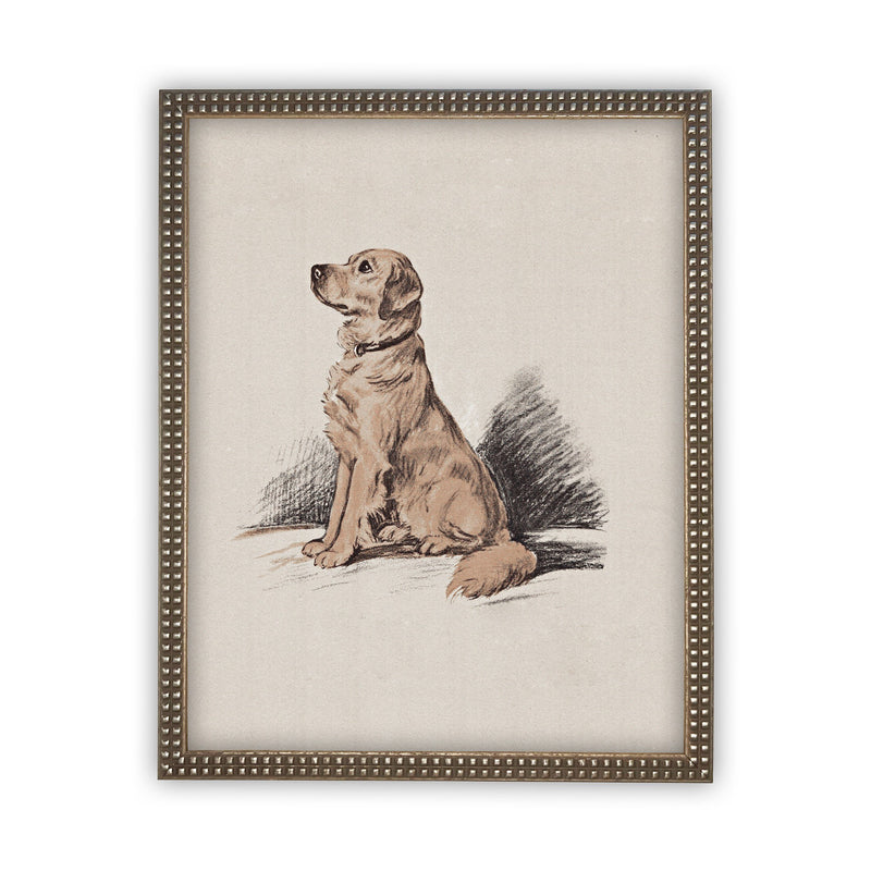 Vintage Framed Canvas Art // Framed Vintage Print // Golden Retriever Drawing Sketch// Vintage Dog Art// Boys Room or Nursery print //#A-107