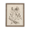 Vintage Framed Canvas Art  // Framed Vintage Print // Vintage Painting // Botanical Floral Sketch // Farmhouse print  //#BOT-115