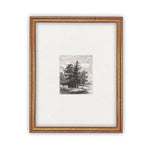 Vintage Framed Canvas Art  // Framed Vintage Print // Vintage Painting // Black White Tree Sketch // Minimalist Art //#LAN-108