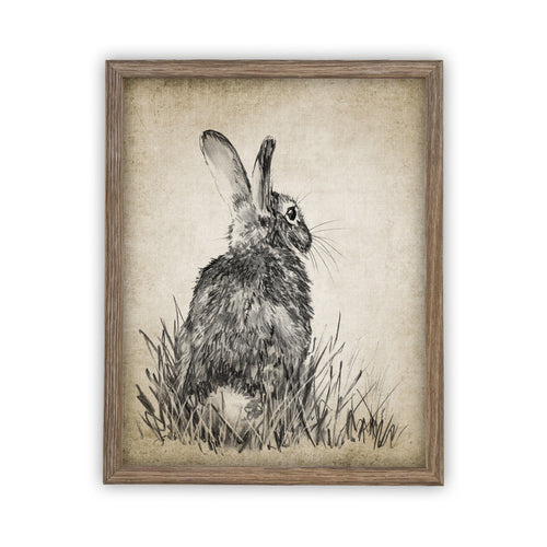 Vintage Framed Canvas Art  // Framed Easter Art // Vintage Rabbit Print // Vintage Bunny Sketch // Girls Room or Nursery print //#A-148