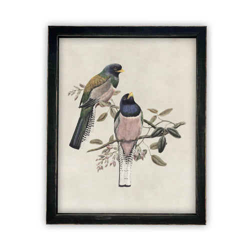 Vintage Framed Canvas Art  // Framed Vintage Print // Vintage Painting // Birds Art // Girls Room or Nursery print //#A-103