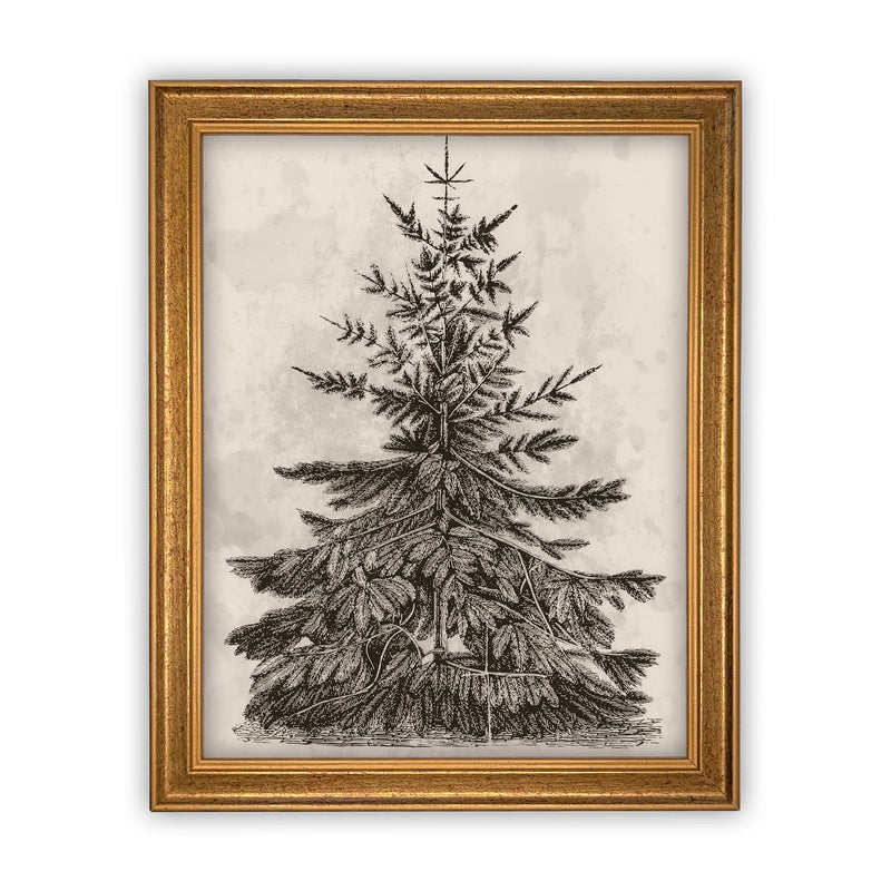 Vintage Framed Canvas Art #CH-306