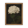 Vintage Framed Canvas Art  // Framed Vintage Print // Vintage Painting // Framed Vintage Hydrangea // Botanical Floral Art //#BOT-103