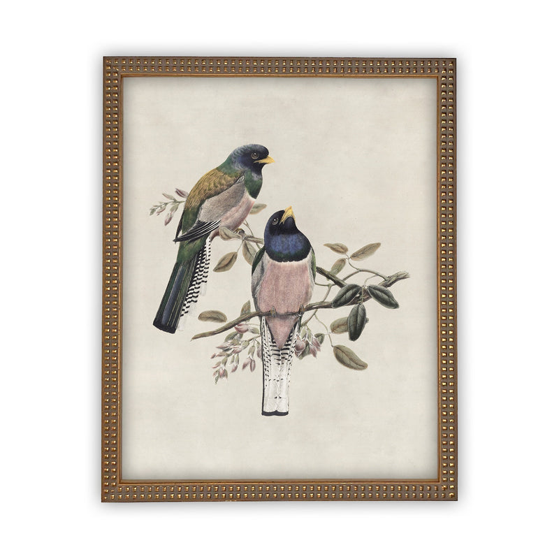 Vintage Framed Canvas Art  // Framed Vintage Print // Vintage Painting // Birds Art // Girls Room or Nursery print //#A-103