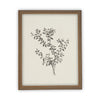 Vintage Framed Canvas Art  // Framed Vintage Print // Vintage Painting // Botanical Sketch // Farmhouse print //#BOT-118