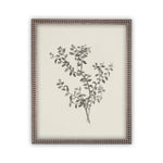 Vintage Framed Canvas Art  // Framed Vintage Print // Vintage Painting // Botanical Sketch // Farmhouse print //#BOT-118