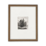 Vintage Framed Canvas Art  // Framed Vintage Print // Vintage Painting // Black White Tree Sketch // Minimalist Art //#LAN-108