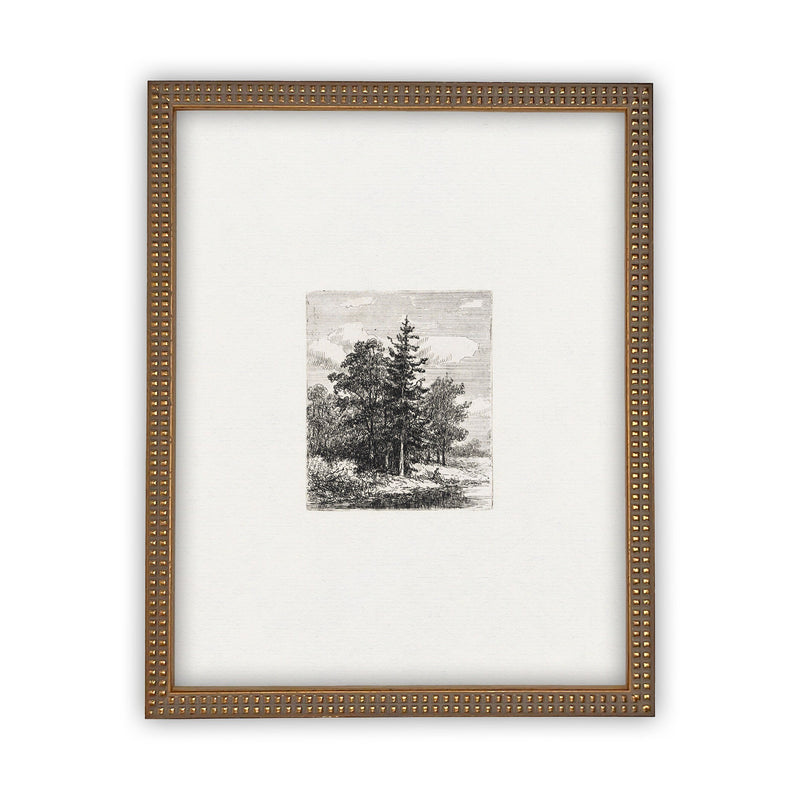 Vintage Framed Canvas Art  // Framed Vintage Print // Vintage Painting // Black White Tree Sketch // Minimalist Art //#LAN-108