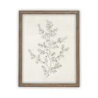 Vintage Framed Canvas Art  // Framed Vintage Print // Vintage Painting // Botanical Sketch // Winter Pine botanical print //#CH-308