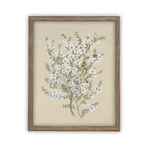 Vintage Framed Canvas Art  // Framed Vintage Print // Vintage Painting // Botanical Sketch // Farmhouse print  //#BOT-130