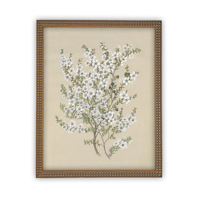 Vintage Framed Canvas Art  // Framed Vintage Print // Vintage Painting // Botanical Sketch // Farmhouse print  //#BOT-130