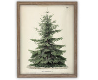 Vintage Framed Canvas Art // Framed Vintage Christmas Print // Vintage Painting // Christmas Tree // Farmhouse print //#CH-320