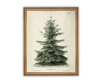 Vintage Framed Canvas Art // Framed Vintage Christmas Print // Vintage Painting // Christmas Tree // Farmhouse print //#CH-320