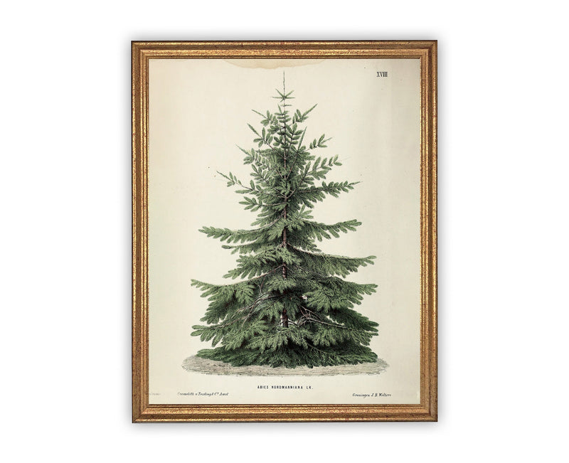 Vintage Framed Canvas Art // Framed Vintage Christmas Print // Vintage Painting // Christmas Tree // Farmhouse print //#CH-320